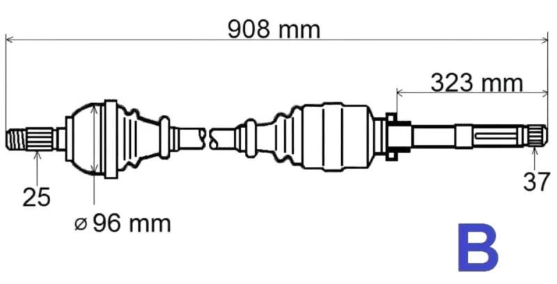 T6007 (1).jpg