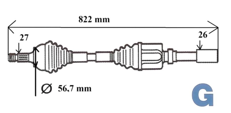 T6119 (1).jpg