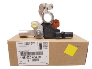 borne de batterie Peugeot Citroen 9802043480 Original OE