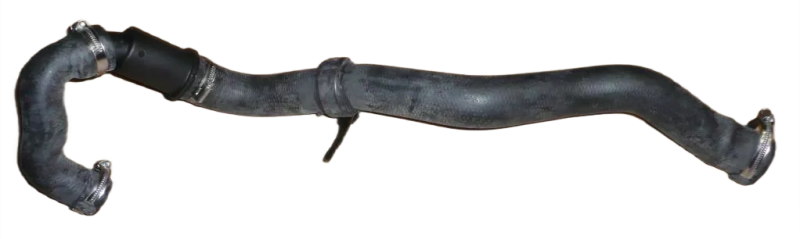 2photoAid-removed-background (10).png