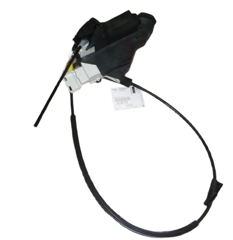 1photoAid-removed-background (19).png