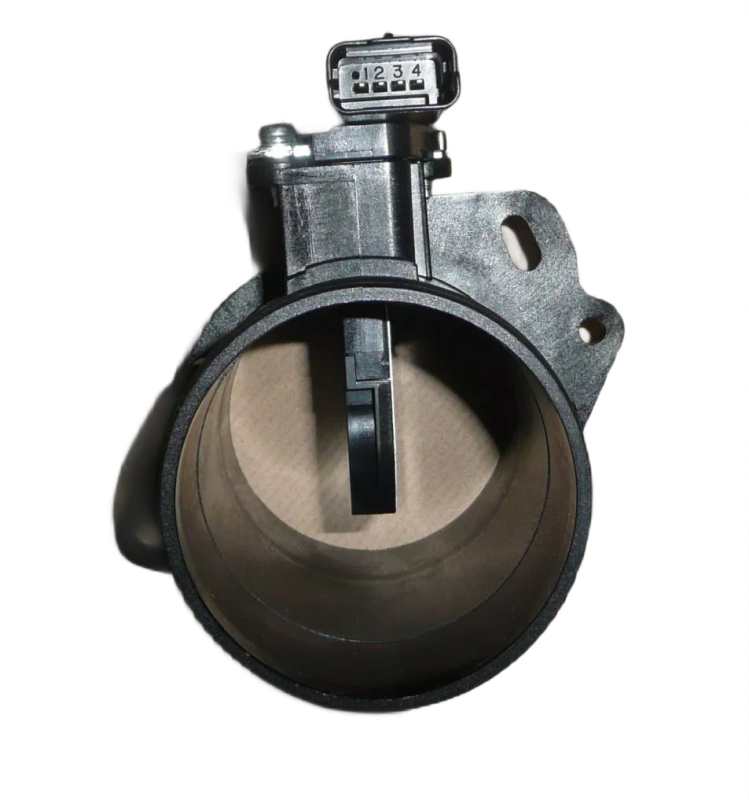 3photoAid-removed-background (6).png
