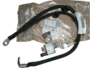 BORNE NÉGATIVE DE LA BATTERIE CITROEN PEUGEOT 9801979280