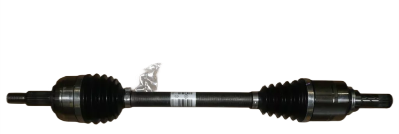 20photoAid-removed-background.png