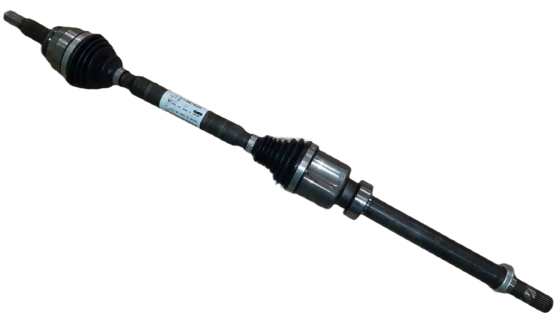 26photoAid-removed-background.png