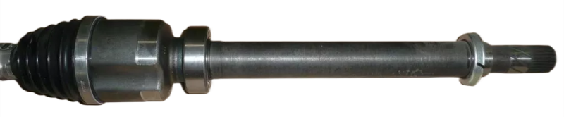14photoAid-removed-background.png