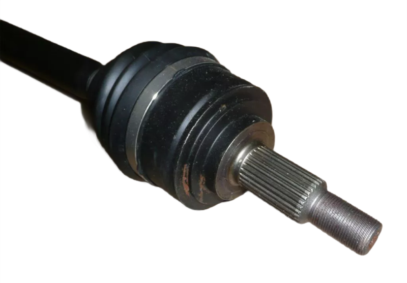 18photoAid-removed-background.png