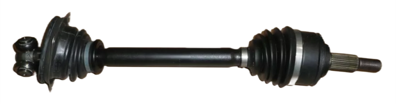 19photoAid-removed-background.png