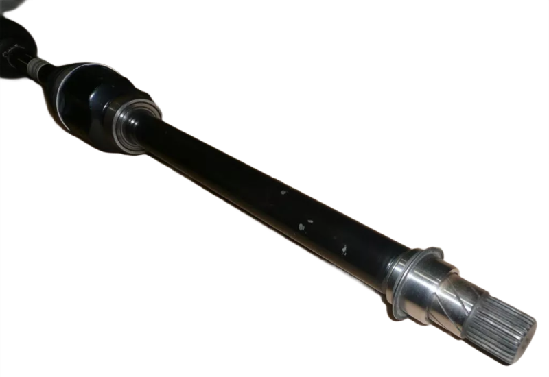 22photoAid-removed-background.png