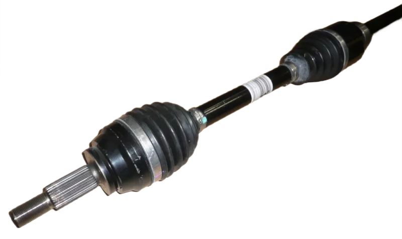 21photoAid-removed-background.png