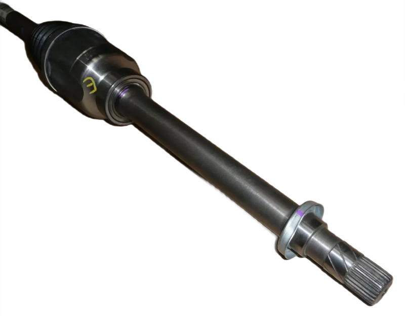 25photoAid-removed-background.png