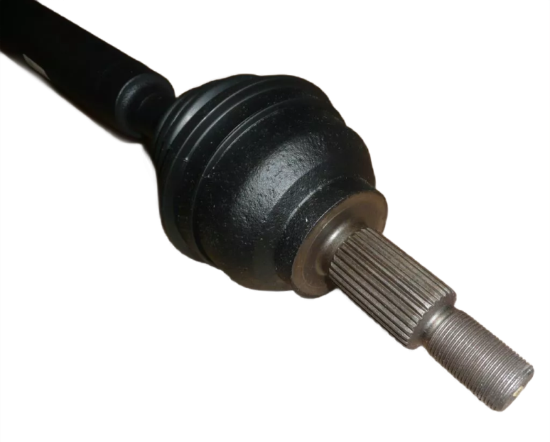 27photoAid-removed-background.png