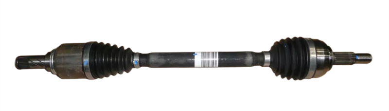 29photoAid-removed-background.png