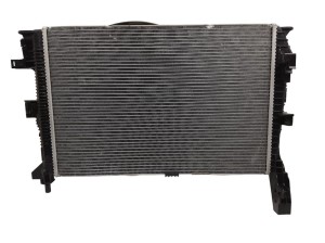 Radiateur d'eau BV618005BD Ventilateur DV618C607AD Ford Original 1000KM