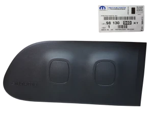Bande de porte Citroen C3 III 98130940XT - NEUF D'ORIGINE OE
