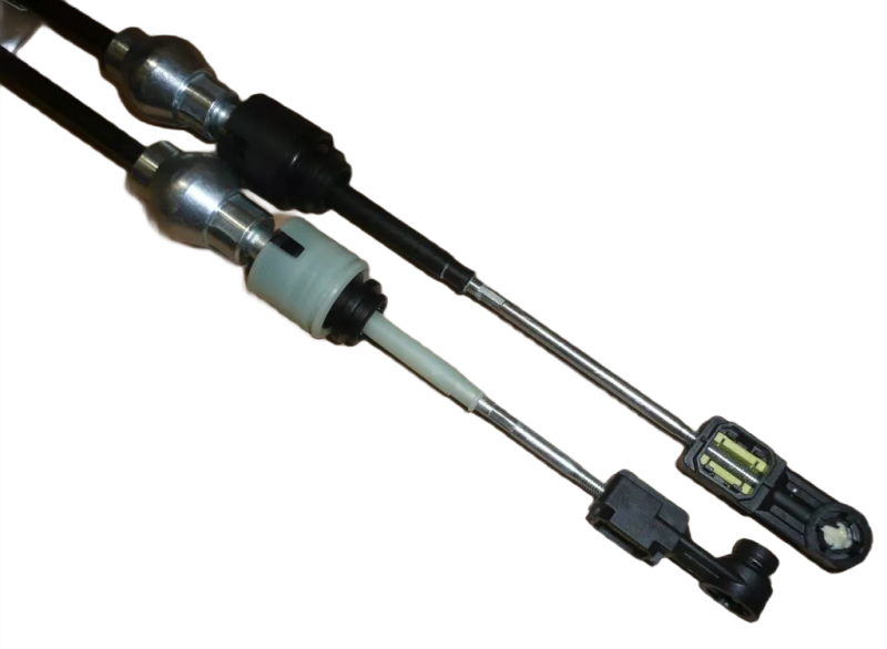 10photoAid-removed-background (1).png