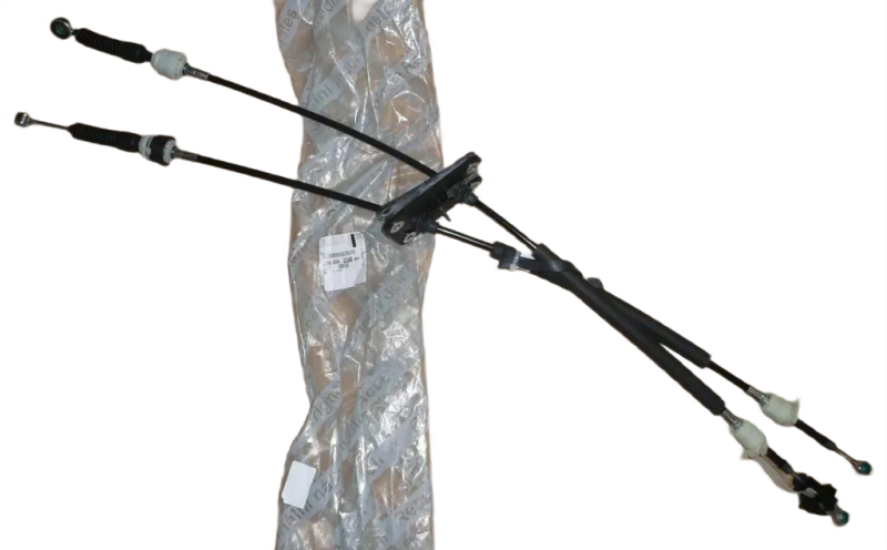 17photoAid-removed-background (1).png