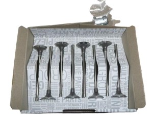 Soupapes d'admission Renault Master III 2.3 dCi 132012274R - NEUF D'ORIGINE OE