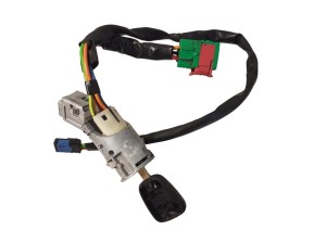 Interrupteur d'allumage Peugeot 1007 Citroen C2 C2 4162AH N0501413 Original OE